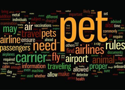How to bring a pet to switzerland